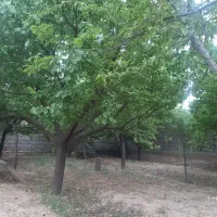 خانه-باغ-بزرگ-1000متر-قابل-سکونت-فردوسی-زاک-ماریان