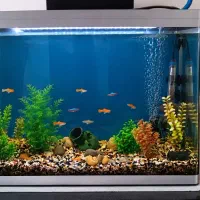 آکواریوم 70*60 با وسایل