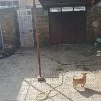 اجاره خانه ویلایی