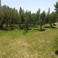 باغ قدیمی با سند و آب فراوان