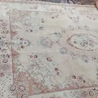 فرش|فرش|شاهینشهر, ۹ دی|دیوار