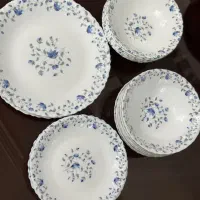 سرویس پذیرایی اماراتی