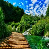 همفکری‌ و‌ همراهی‌