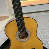 گیتار نو نو