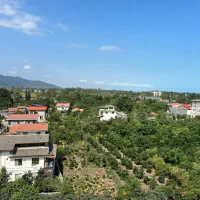 استخدام نیروی سرایداری
