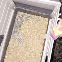 قفس ب|لوازم جانبی حیوانات|ایلام, |دیوار