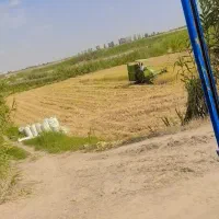 اجاره زمین کشاورزی