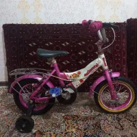 دوچرخه ۱۲|دوچرخه، اسکیت، اسکوتر|گنبد کاووس, |دیوار