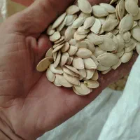 کدووگردو|خوردنی و آشامیدنی|دهگلان, |دیوار