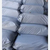 تفاله چغندر