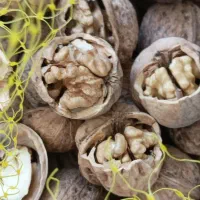 گردو درجه یک کوهستان رابر