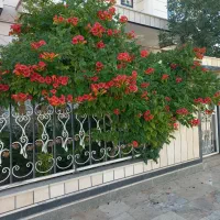 ساختمان لوکس و مدل پله هندی