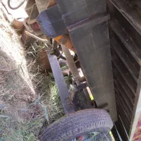 تریلی تراکتور|ماشینآلات صنعتی|بوکان, |دیوار