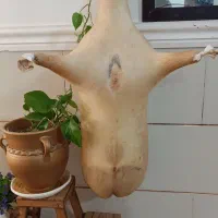 نی انبان عربی و بندری بزرگ خوش استایل