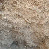 کاه گندم دیم|عمدهفروشی|قشلاق دشت, |دیوار