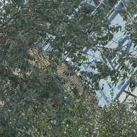 موقعیت ویلایی چشم انداز قله