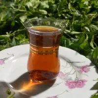 چای لاهیجان باطعمی عالی