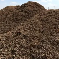 کودمرغی کوشتی درجه یک