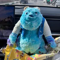 عروسک سالیوان نو و سالم