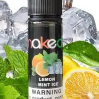 جویس لیمو نعنا یخی