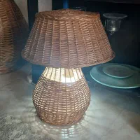 آباژور حصیری