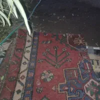 قالی محلی نصفه