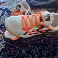 کتونی  استوک