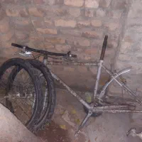 دوچرخه دماوند