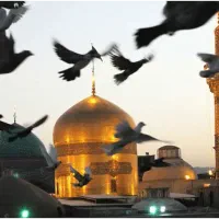 سفر زیارتی مشهد مقدس|فعالیت داوطلبانه|میناب, |دیوار