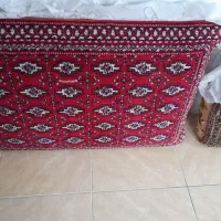 فرش سالم|فرش|چاف و چمخاله, |دیوار