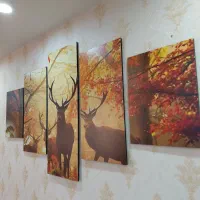 دو دست تابلو پازلی دکوراتیو|تابلو، نقاشی، عکس|بندر انزلی, ساحل قو|دیوار