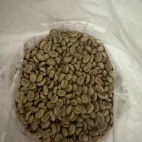 قهوه سبز|خوردنی و آشامیدنی|کرج, گوهردشت|دیوار
