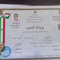 قالیشویی جزیره