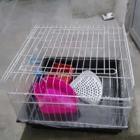 قفس خرگوش