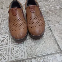 کفش زنانه|کیف، کفش، کمربند|شیراز, فخرآباد (دروازه کازرون)|دیوار