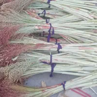 جارو ذراتی|لوازم نظافت|الشتر, |دیوار