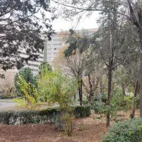 دوخواب B4 فازدو بلوک فرد