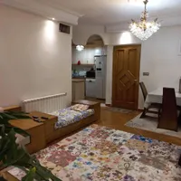 ۴۵ متری _۱خواب بزرگ _پارکینگ غیر _نقشه مهندسی