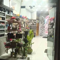 مغازه ۴۱ متری در بر اصلی کمربندی|فروش مغازه و غرفه|رشت, منظریه|دیوار