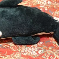 اسباب بازی|اسباببازی|کهریزک, |دیوار