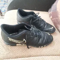 کتونی سالنی