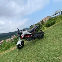 موتور بنلی135