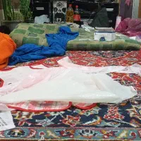 یه خانم واسه یک ساعت تمیزی منزل ال میخوام ۳۰۰ میدم