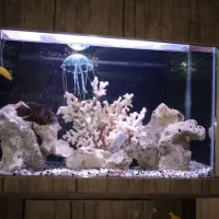 آکفاریوم با لوازم کامل