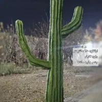 مجسمه کاکتوس دکوراتیو غول پیکر پاپیه ماشه