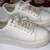 در حد نو|کیف، کفش، کمربند|ماسال, |دیوار