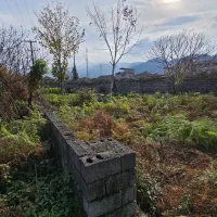 فروش زمین ۲۷۸ متر کاربری مسکونی بر جاده|فروش زمین و ملک کلنگی|چابکسر, |دیوار