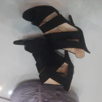 فروش کفشهابدلیل مهاجرت قیمت از۱۹۰ تا۴۹۰|کیف، کفش، کمربند|کازرون, |دیوار