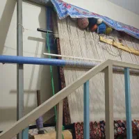 فرش دست بافت|فرش|ملایر, |دیوار