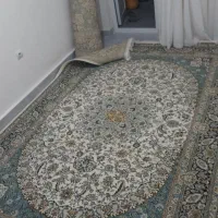 فرش ۶ متری|فرش|مهاباد (آذربایجان غربی), |دیوار